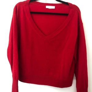 Everlane Cashmere Boxy V Neck Sweater